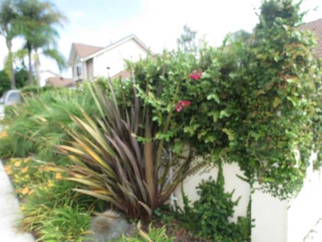 1462 Westmore Pl, Oceanside, CA 92056 photo 13