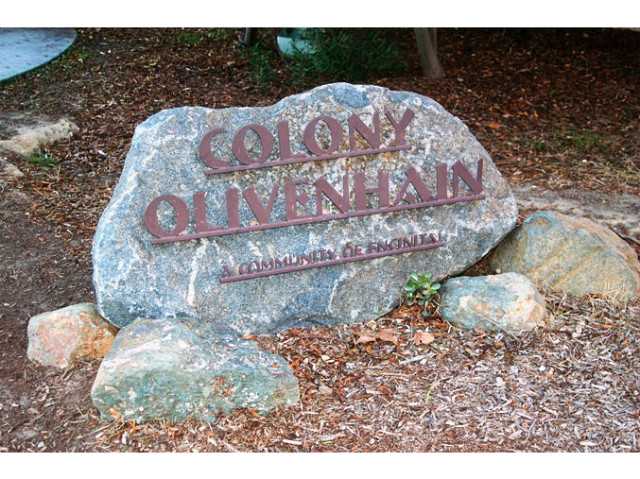 850 Morning Sun Dr, Encinitas, CA 92024 photo 25