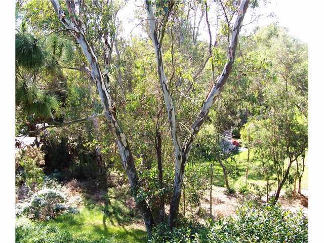6867 Adolphia Dr, Carlsbad, CA 92011 photo 25
