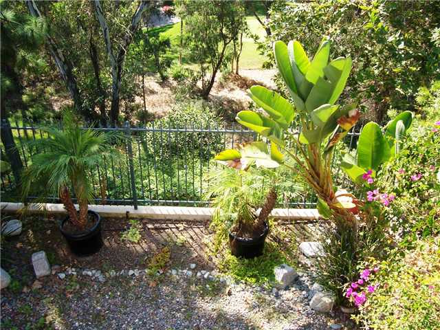 6867 Adolphia Dr, Carlsbad, CA 92011 photo 2