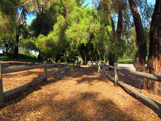 2846 Crystal Ridge Rd, Encinitas, CA 92024 photo 23