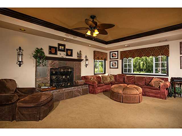 2846 Crystal Ridge Rd, Encinitas, CA 92024 photo 14