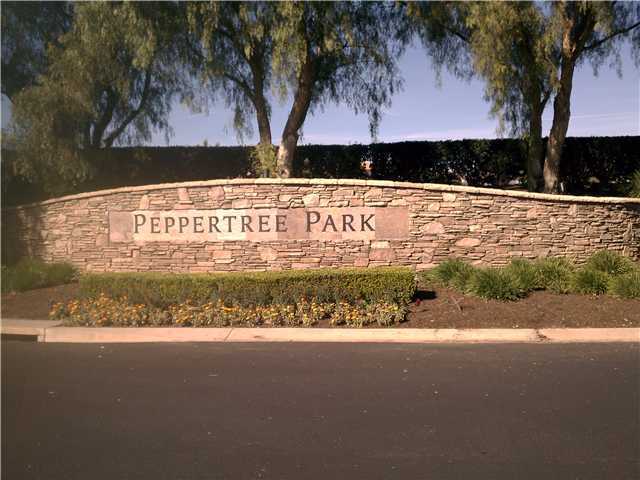 1680 Loch Ness Dr, Fallbrook, CA 92028 photo 21