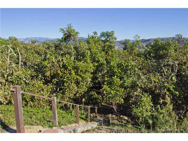 3633 Monserate Hill Ct, Fallbrook, CA 92028 photo 23