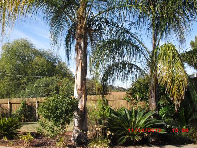 9677 Christmas Tree Ln, Lakeside, CA 92040 photo 20