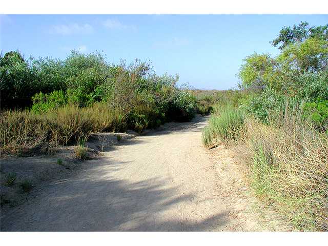 3930 Rill Ct, Carlsbad, CA 92010 photo 23