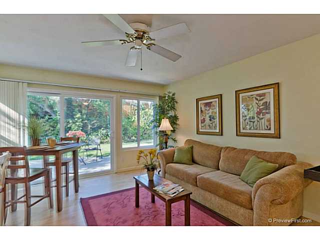 206 Meadow Vista Way, Encinitas, CA 92024 photo 7