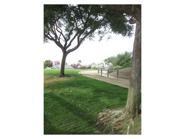 1316 Blue Heron Ave, Encinitas, CA 92024 photo 25