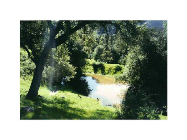 1952 Calle Rociada, Fallbrook, CA 92028 photo 21