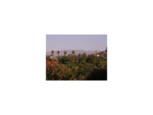 1342 Cuesta Norte, Fallbrook, CA 92028 photo 13