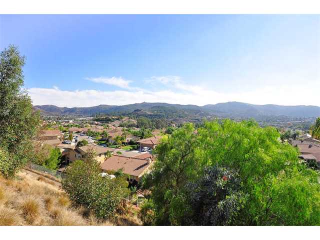 13889 Jack Oak Ln, Lakeside, CA 92040 photo 21