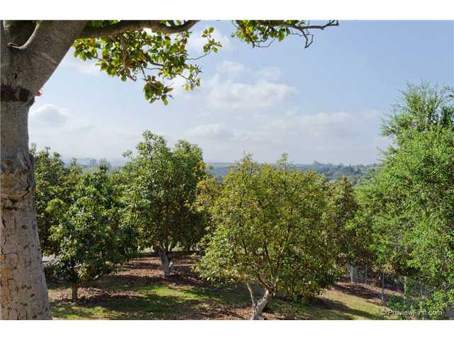 2515 Los Cerritos Ln, Fallbrook, CA 92028 photo 12