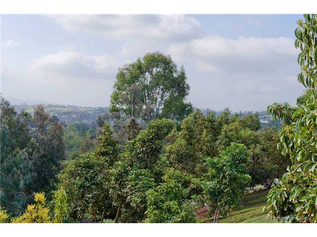 2515 Los Cerritos Ln, Fallbrook, CA 92028 photo 13