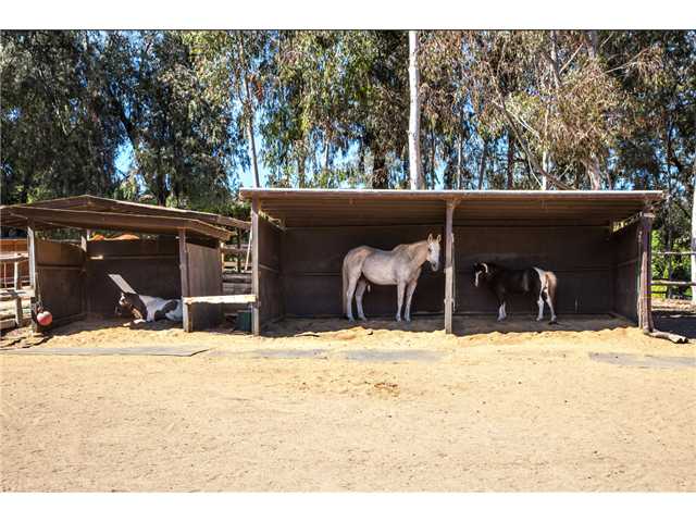 3556 Copper Crest Rd, Encinitas, CA 92024 photo 24