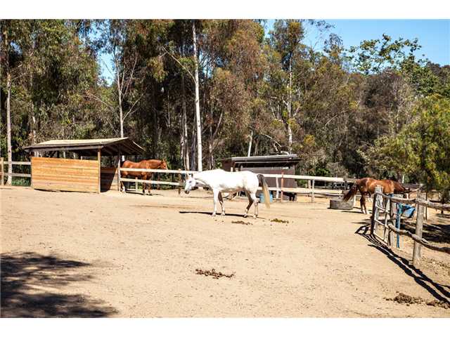 3556 Copper Crest Rd, Encinitas, CA 92024 photo 7