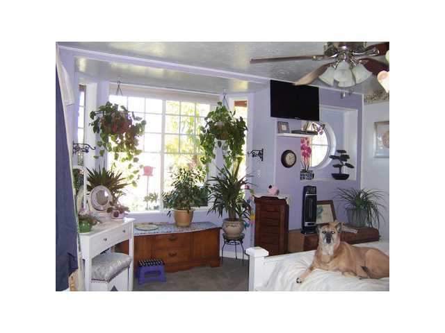 351 W 10th Ave, Escondido, CA 92025 photo 5