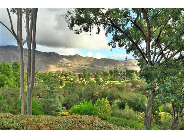 1873 Tecalote Dr, Fallbrook, CA 92028 photo 5