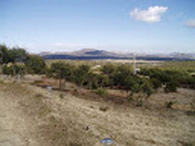 2467 Crows Lndg, Boulevard, CA 91905 photo 10