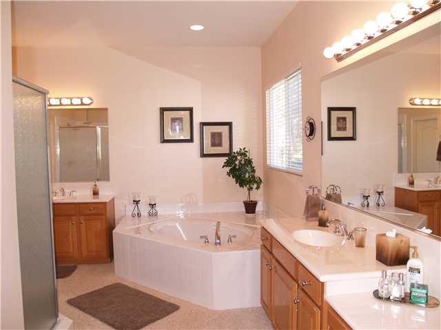 2160 Collomia Ct, Alpine, CA 91901 photo 17