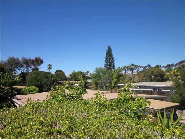 221 Rosebay Dr, Encinitas, CA 92024 photo 5