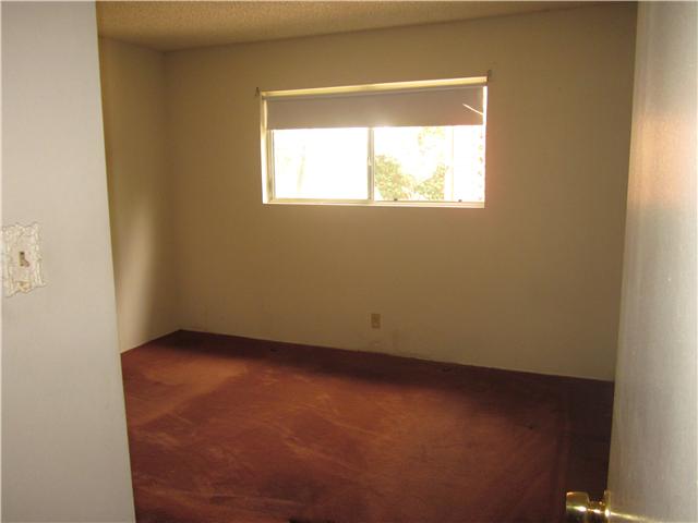 221 Rosebay Dr, Encinitas, CA 92024 photo 10