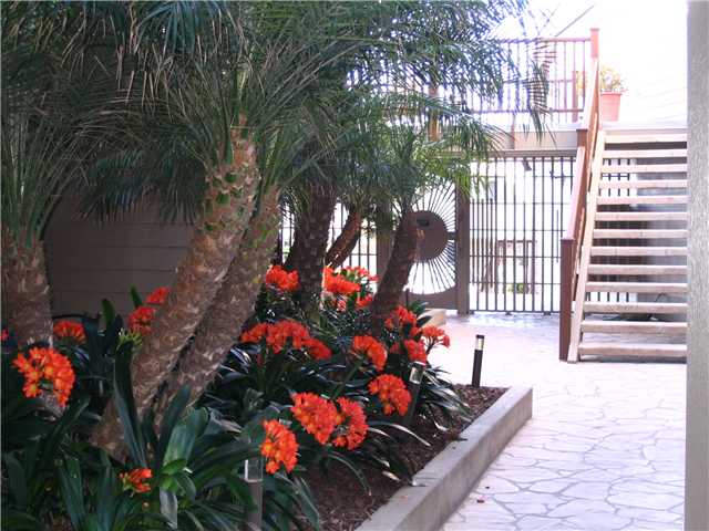 385 W I St, Encinitas, CA 92024 photo 9