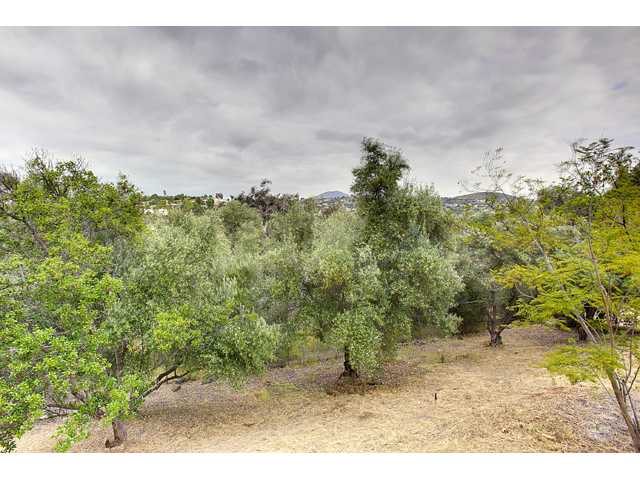 3897 Settineri Ln, Spring Valley, CA 91977 photo 21