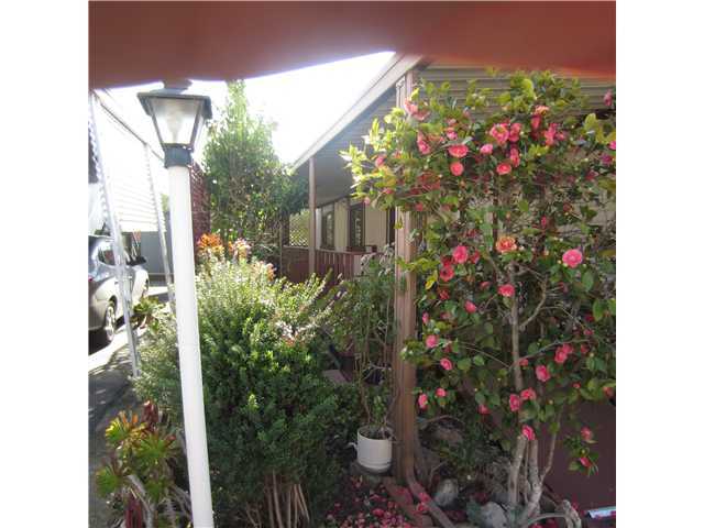 2400 Alpine Blvd, Alpine, CA 91901 photo 4
