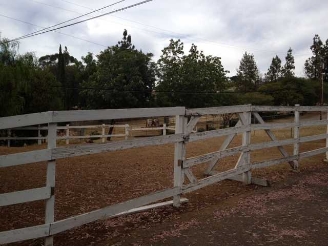 10559 Moorpark St, Spring Valley, CA 91978 photo 15