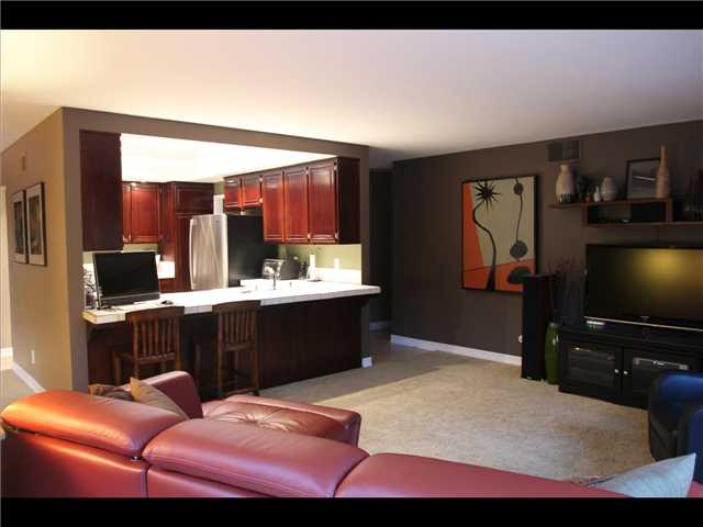 239 Willowspring Dr, Encinitas, CA 92024 photo 17