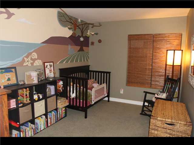 239 Willowspring Dr, Encinitas, CA 92024 photo 16