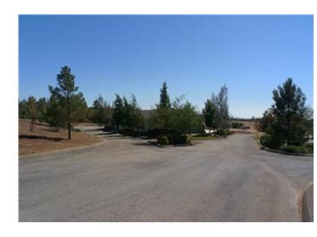 38175 Alessandro Dr, Anza, CA 92539 photo 20