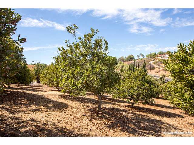 1301 Gopher Canyon Rd, Vista, CA 92084 photo 24
