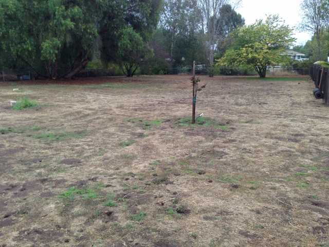 1773 Mulberry Dr, San Marcos, CA 92069 photo 7