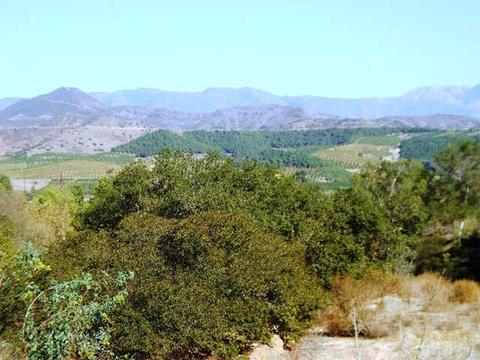 4040 Pala Mesa Drive Dr #4040, Fallbrook, CA 92028 photo 1
