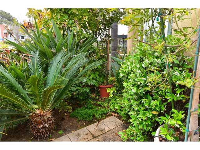 7824 Ivanhoe Ave, La Jolla, CA 92037 photo 17