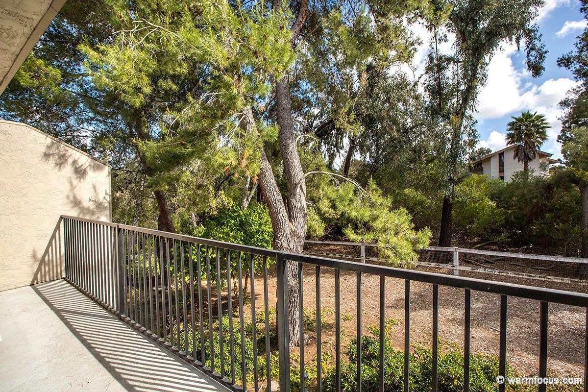3167 Via De Caballo, Encinitas, CA 92024 photo 14
