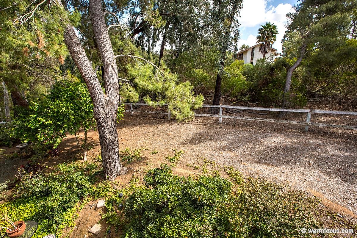 3167 Via De Caballo, Encinitas, CA 92024 photo 15