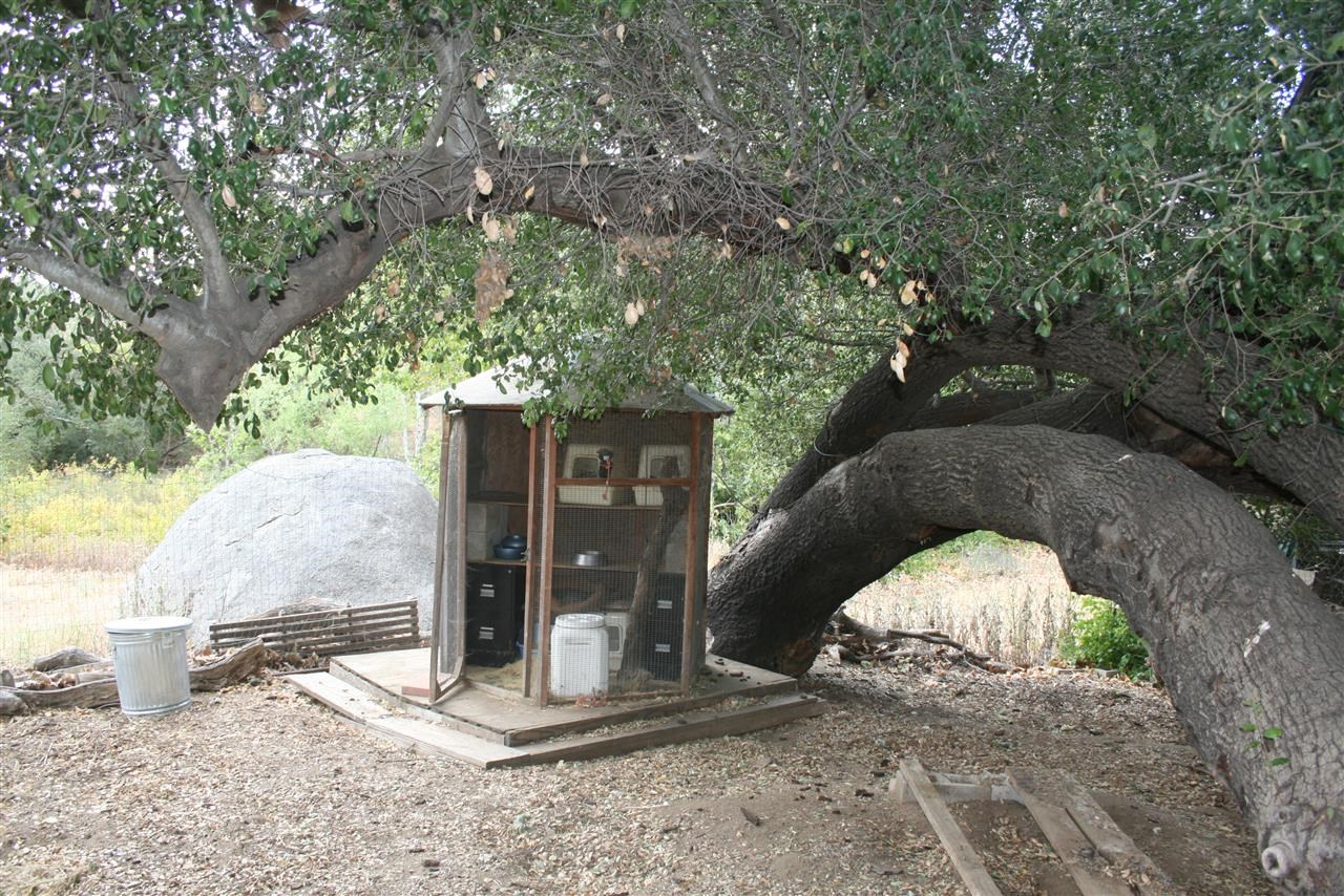1646 Peutz Vly, Alpine, CA 91901 photo 15