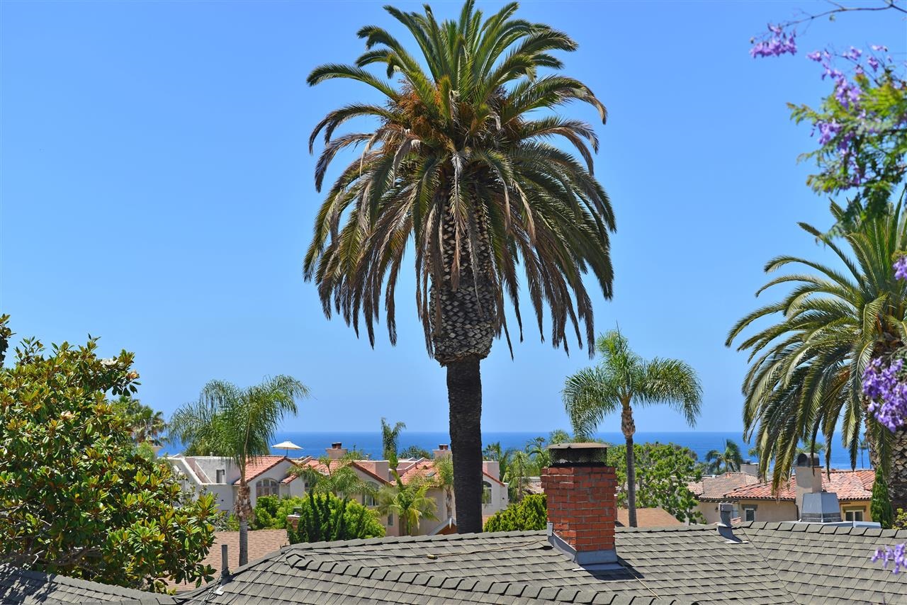 7331 Eads, La Jolla, CA 92037 photo 21