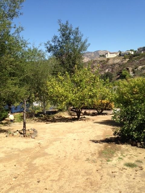 24015 Nectar Way, Ramona, CA 92065 photo 25