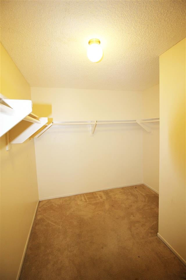 10210 Norma Gdns #8, Santee, CA 92071 photo 8