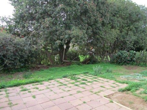 951 Windy Hill 951 Windy Hill Ter, Encinitas, CA 92024 photo 2