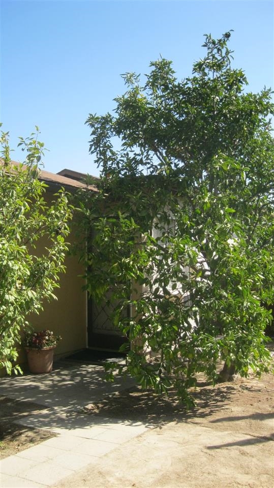 1425 Temple Hts, Oceanside, CA 92056 photo 15