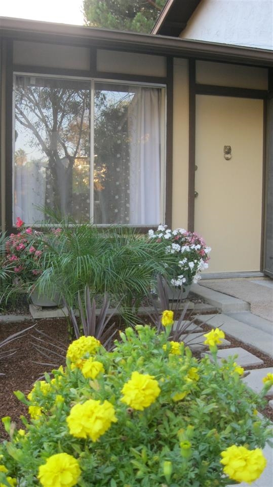 1425 Temple Hts, Oceanside, CA 92056 photo 18