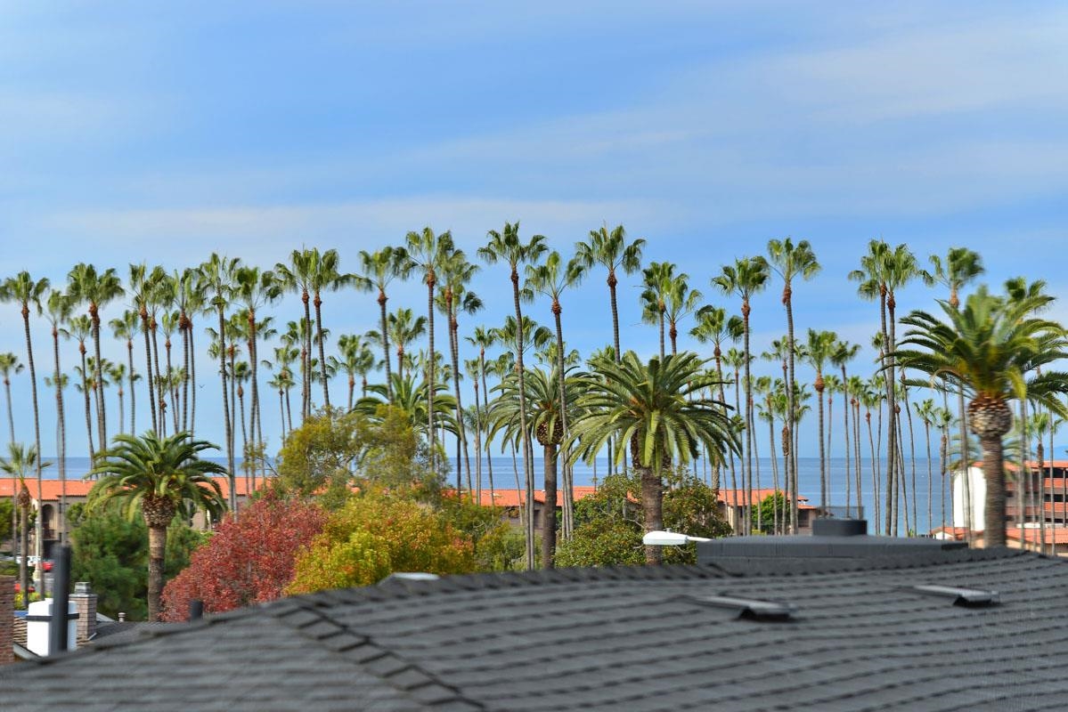 7915 Lowry Ter, La Jolla, CA 92037 photo 6