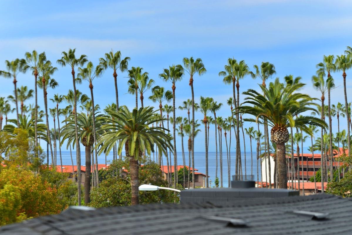 7915 Lowry Ter, La Jolla, CA 92037 photo 1