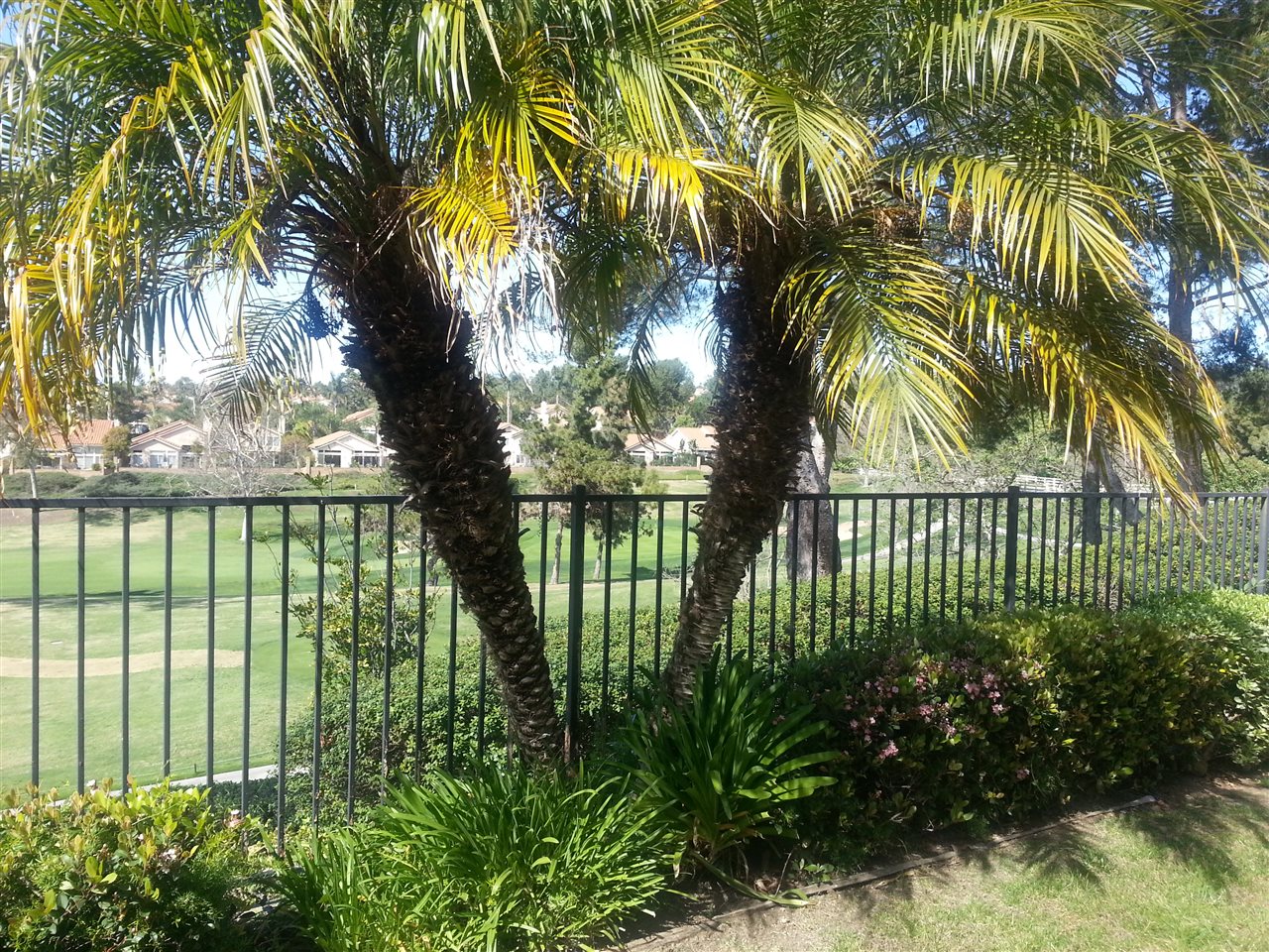1418 Golfcrest Pl, Vista, CA 92081 photo 4