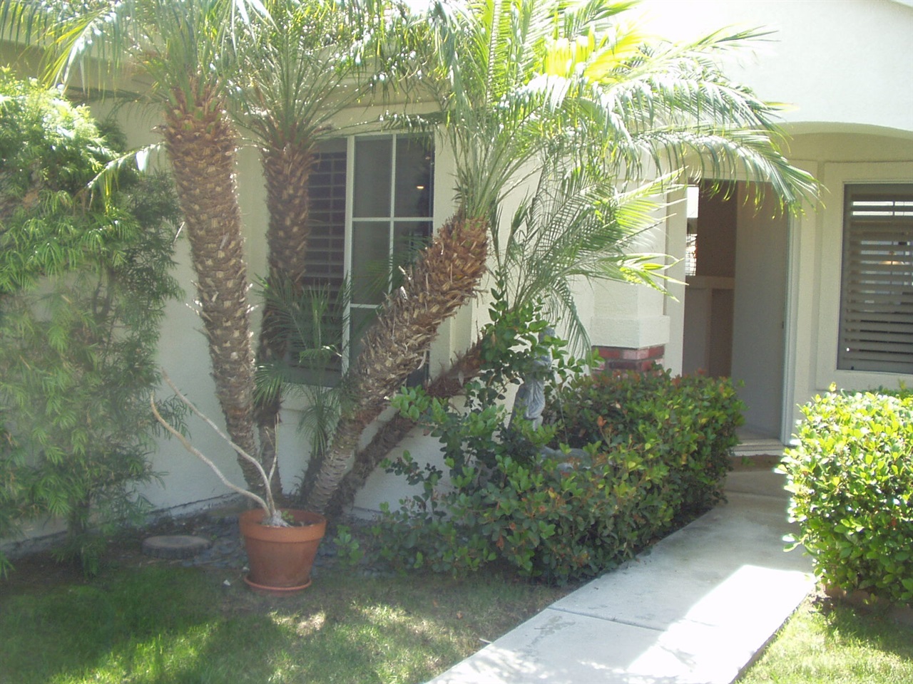 4438 Arbor Cove Cir, Oceanside, CA 92058 photo 14
