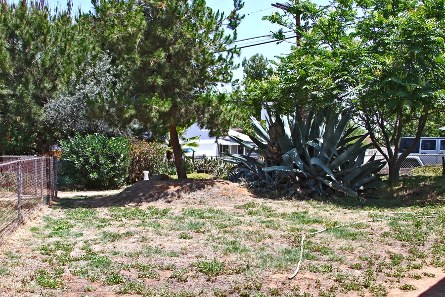 1198 Sumner, El Cajon, CA 92021 photo 23
